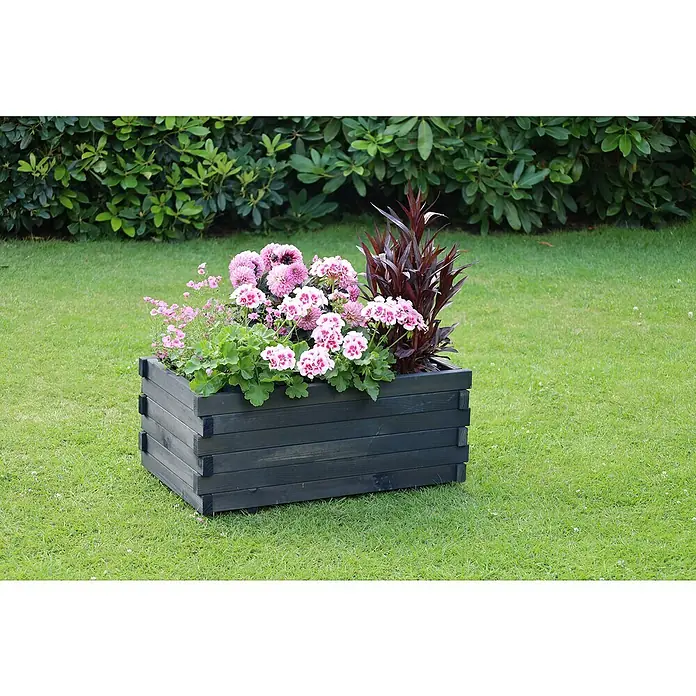 Promadino Pflanzkasten Lucca - Außenmaß (L x B x H): 69 x 39 x 29,5 cm, Holz, Anthrazit - Ein grauer Blumenkasten aus Holz, gefüllt mit rosa Geranien, Dahlien und einer Cordyline, steht auf einem grünen Rasen.
