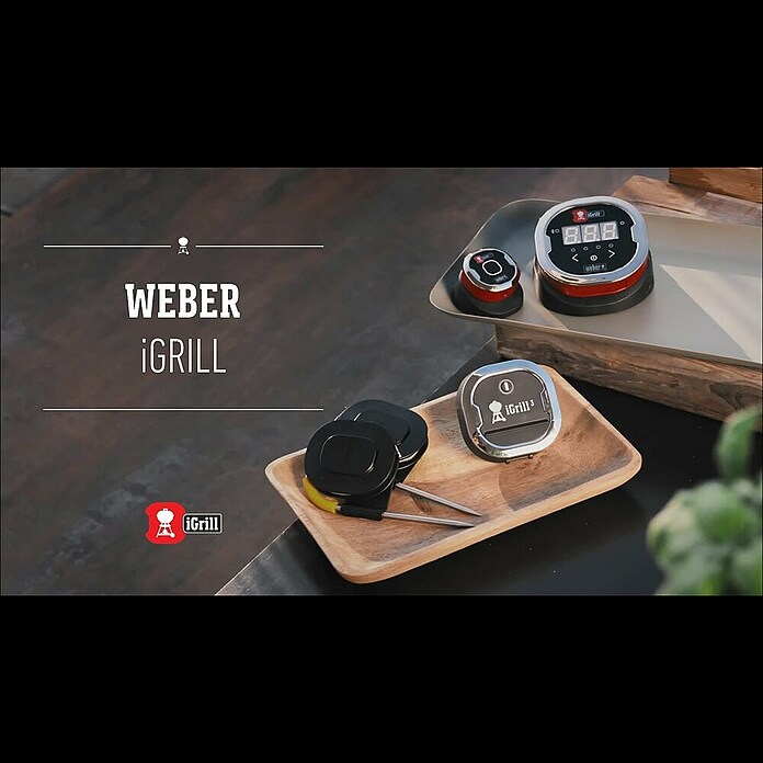 Weber Ersatz-Messfühler iGrill Pro (Passend für: Weber Thermometer iGrill, Kerntemperaturmessung) | BAUHAUS