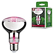 Paulmann Lámpara para plantas Grow Green (6,5 W, 200 lm, R80) | BAUHAUS