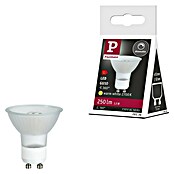 Paulmann LED reflektor (3,5 W, Postolje: GU10, Kut svjetlosnog snopa: 360°, Topla bijela)
