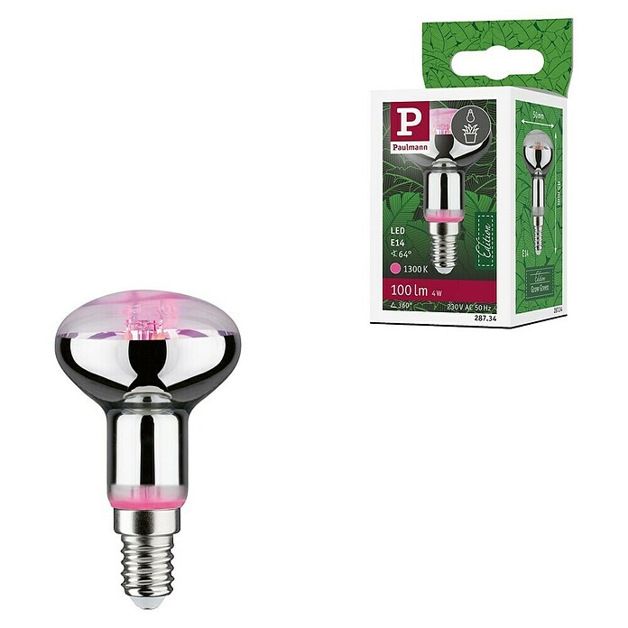 Paulmann Lámpara para plantas Grow Green (4 W, 100 lm, R50) | BAUHAUS