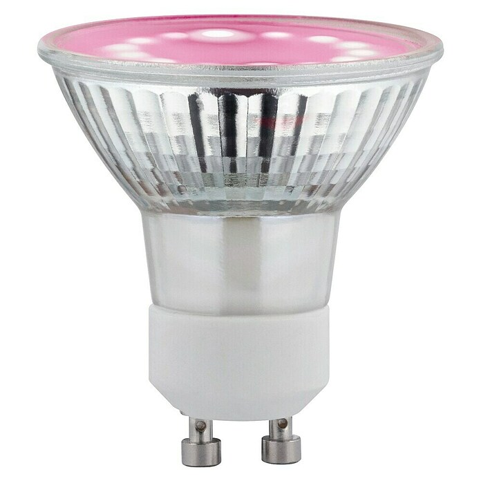 Paulmann LED-Lampe Pflanzenlampe Grow Green (GU10, 2,4 W, 95 lm, Warmweiß) | BAUHAUS