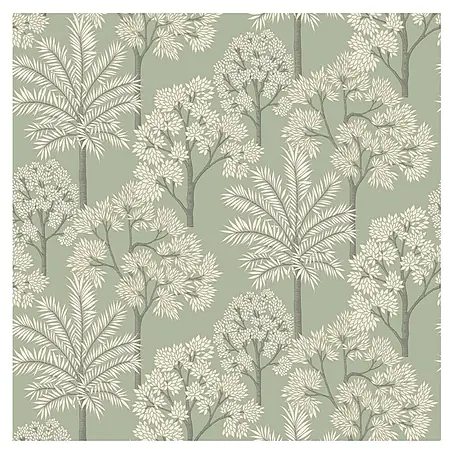 Papel pintado Vegetación palmera