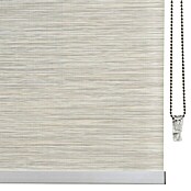 Estor enrollable Roll-up Screen (An x Al: 100 x 250 cm, Gris perla, Traslúcido)