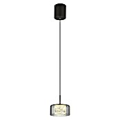Globo LED viseća svjetiljka Fogsy  (6 W, Ø x V: 15 x 150 cm, Crna, Topla bijela) | BAUHAUS