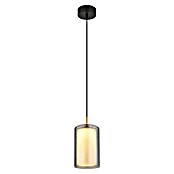 Globo Viseća LED svjetiljka Lampigna  (10 W, Ø x V: 18 x 150 cm, Crna) | BAUHAUS