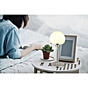 Globo Okrugla stolna svjetiljka Haku  (40 W, Srebrna, Bijela) | BAUHAUS