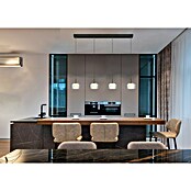 Globo Viseća LED svjetiljka Fogsy  (32 W, D x Š x V: 105 x 15 x 150 cm, Crna) | BAUHAUS