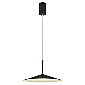 Globo LED viseća svjetiljka Lampone  (28 W, Ø x V: 48 x 150 cm, Crna) | BAUHAUS
