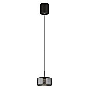 Globo LED viseća svjetiljka Fogsy  (6 W, Ø x V: 15 x 150 cm, Crna, Topla bijela) | BAUHAUS