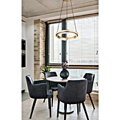Globo Blondie Viseća LED svjetiljka  (36 W, 40 x 120 cm, Zlatna, Raznobojno) | BAUHAUS
