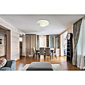Globo Mucky Okrugla stropna LED svjetiljka  (50 W, Ø x V: 50 x 17,3 cm, Srebrna, Topla bijela) | BAUHAUS