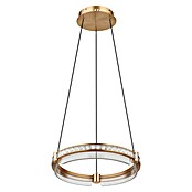 Globo Blondie Viseća LED svjetiljka  (36 W, 40 x 120 cm, Zlatna, Raznobojno) | BAUHAUS