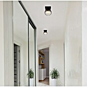 Globo Dallerta Aplique de pared redondo (10 W, Ø x Al: 12 x 15 cm, Negro, Negro, G9) | BAUHAUS