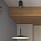 Globo LED viseća svjetiljka Lampone  (28 W, Ø x V: 48 x 150 cm, Crna) | BAUHAUS