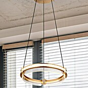 Globo Blondie Viseća LED svjetiljka  (36 W, 40 x 120 cm, Zlatna, Raznobojno) | BAUHAUS