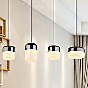 Globo Cristallica Viseća LED svjetiljka  (40 W, D x Š x V: 99 x 20 x 150 cm) | BAUHAUS