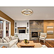 Globo Blondie Plafón LED redondo (78 W, Ø x Al: 60 x 17 cm, Oro, Multicolor) | BAUHAUS