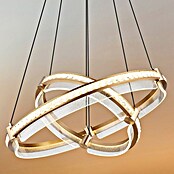 Globo Blondie Viseća LED svjetiljka  (78 W, 60 x 120 cm, Zlatna, Raznobojno) | BAUHAUS