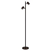Globo James Lámpara de pie (40 W, Altura: 158 cm, Negro) | BAUHAUS