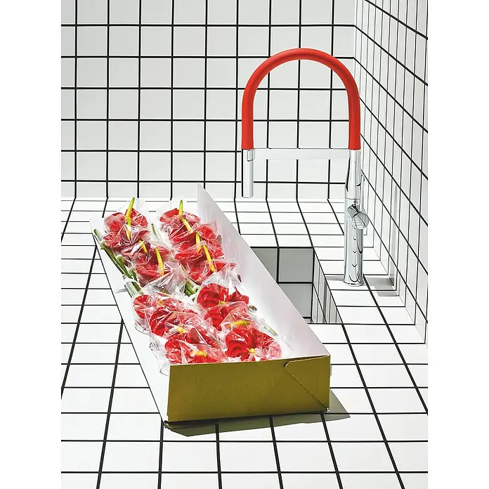Grohe Essence Schlauchauslauf GrohFlex - Rot, Silikon - Anthurium-Blumen in einer Schachtel vor einem Waschbecken mit rotem Auslauf auf einem Fliesenhintergrund.