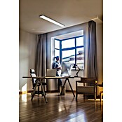 Ledvance Plafón LED Office Line (48 W, L x An x Al: 121,5 x 13 x 2,5 cm, Blanco neutro) | BAUHAUS