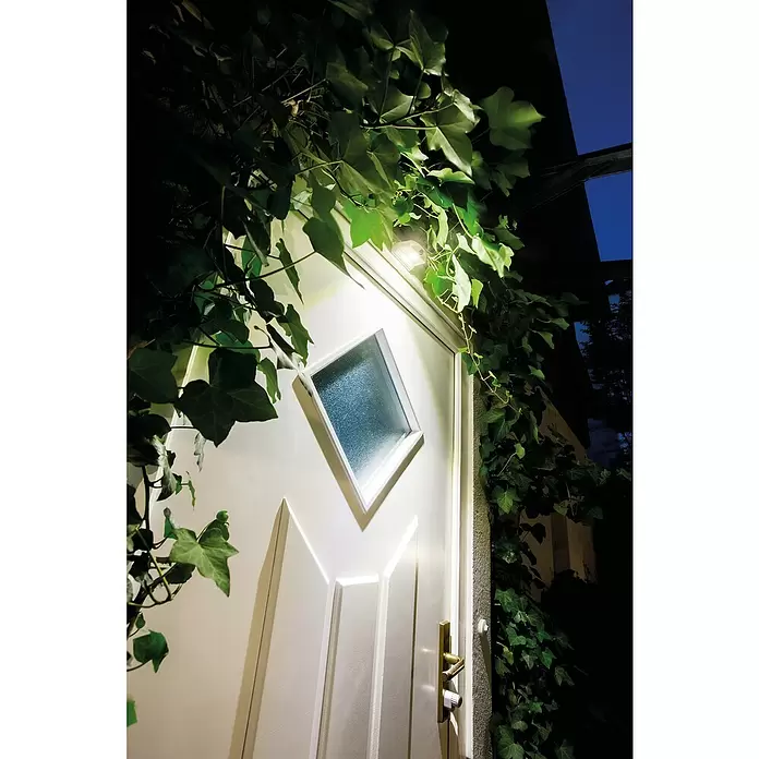 Ledvance LED-Türlicht Down - Weiß, Batteriebetrieben, 102,5 x 92,4 x 36,5 mm - Weißes Sicherheitslicht beleuchtet eine Tür und umliegendes Efeu bei Nacht.