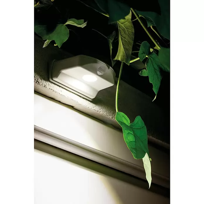 Ledvance LED-Türlicht Down - Weiß, Batteriebetrieben, 102,5 x 92,4 x 36,5 mm - Weißes, rechteckiges Außenlicht mit Bewegungssensor, das eine Wand und Blätter beleuchtet.
