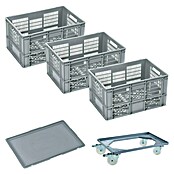 BAUHAUS Caja Euro + base con ruedas (60 l, L x An x Al: 60 x 40 x 32 cm, 5 pzs.) | BAUHAUS