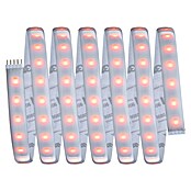 Paulmann MaxLED 1.000 Led-strip Led strip (250 cm, RGBW, 28 W, 2.500 lm, 230 V - 240 V) | BAUHAUS