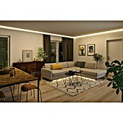 Paulmann MaxLED 1.000 Led-strip Led strip (150 cm, Meerkleurig, 21 W, 1.530 lm, 230 V - 240 V) | BAUHAUS