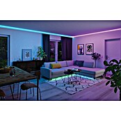 Paulmann MaxLED 1.000 Led-strip Led strip (300 cm, RGBW, 40 W, 3.000 lm, 230 V - 240 V) | BAUHAUS