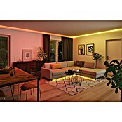 Paulmann MaxLED 1.000 Led-strip Led strip (300 cm, RGBW, 40 W, 3.000 lm, 230 V - 240 V) | BAUHAUS