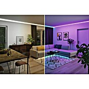 Paulmann MaxLED 1.000 LED-Band Basisset beschichtet (150 cm, RGBW, 24 W, 1.500 lm) | BAUHAUS