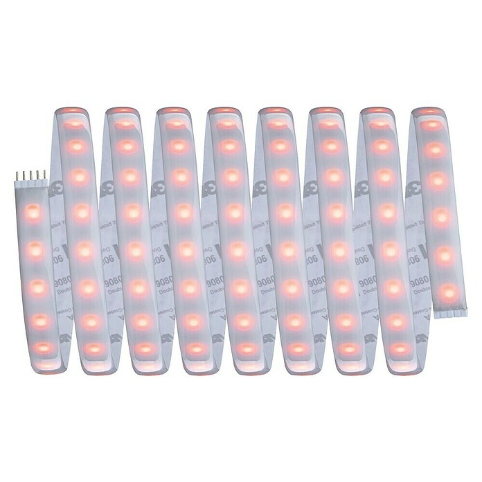Paulmann MaxLED 1.000 Led-strip Led strip (300 cm, RGBW, 40 W, 3.000 lm, 230 V - 240 V) | BAUHAUS