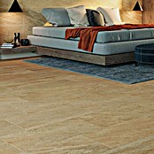 Feinsteinzeugfliese Regent Gold (30 x 60 cm, Beige, Unglasiert)