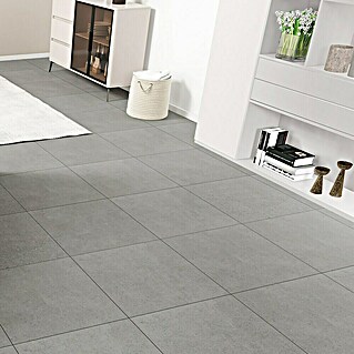 Feinsteinzeugfliese Serpico (59,5 x 59,5 cm, Coolgrey, Glänzend)