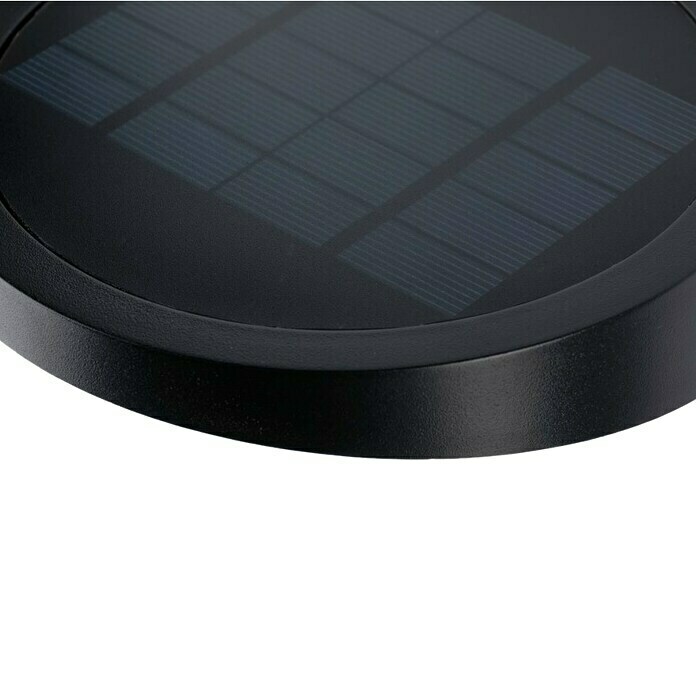 Paulmann Ryse LED-Solar-Außenwandleuchte (Bewegungsmelder, 1,2 W, Material: Kunststoff, Warmweiß, Anthrazit)