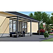 Terrassenüberdachung Light Edition (L x T: 500 x 250 cm, Polycarbonat, Anthrazitgrau, Klar)