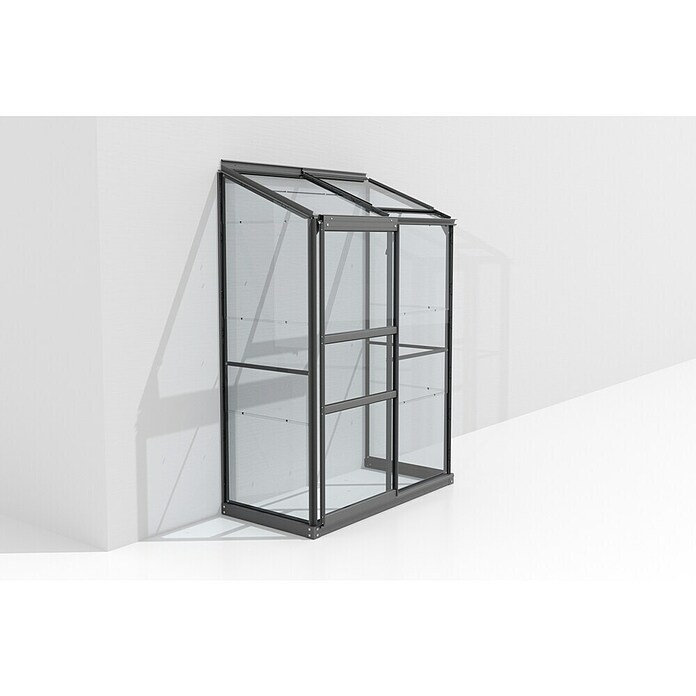 Vitavia Gewächshaus (0,69 x 1,31 x 1,82 m, Glasstärke: 3 mm, Anthrazit/Schwarz)