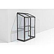 Vitavia Gewächshaus (0,69 x 1,31 x 1,82 m, Glasstärke: 3 mm, Anthrazit/Schwarz)