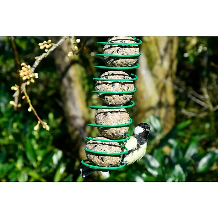 Dobar Meisenknödel - 8 kg, 100 Stk. - Meisenknödel-Halter mit Grünspirale, an dem eine Kohlmeise frisst. Eine tolle Futterstelle für Wildvögel im Garten.