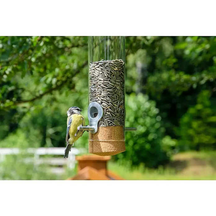 Dobar Futtersäule Pickbar-Premium - Holz - Ein Blaumeise sitzt auf einem stilvollen Vogelfutterhaus mit Sonnenblumenkernen in einem grünen Garten.