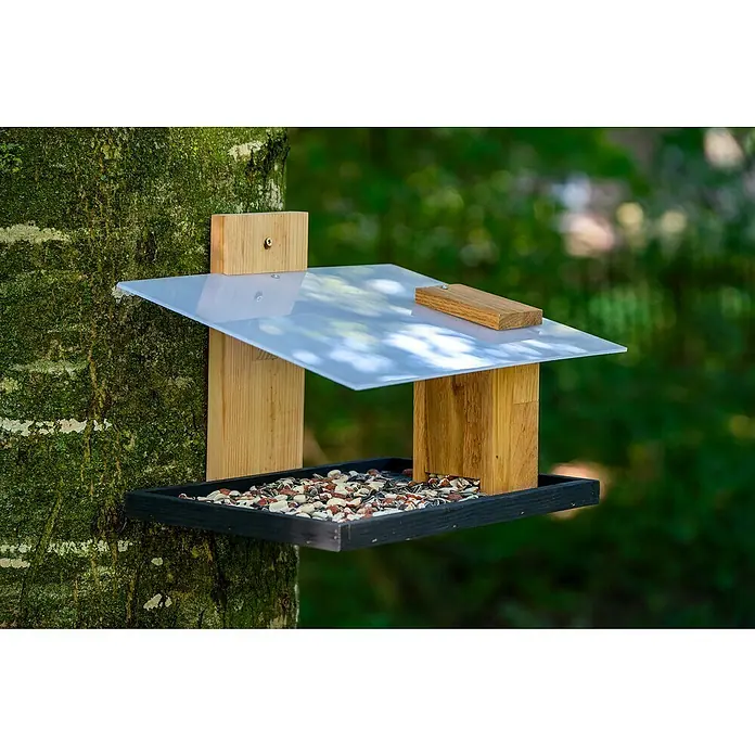 Dobar Vogelhaus Futura I - 32 x 26 x 23 cm, Holz, Weiß/ Schwarz/ Braun/ Natur - Das Bild zeigt ein Vogelhaus mit einem transparenten Dach und einer schwarzen Schale voller Vogelfutter, das an einem Baum befestigt ist.