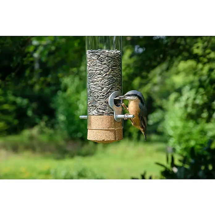 Dobar Futtersäule Pickbar-Premium - Holz - Ein lebendiges Bild eines Kleibers, der an einem Vogelhäuschen mit Sonnenblumenkernen nascht, eingefangen in einer natürlichen Umgebung.