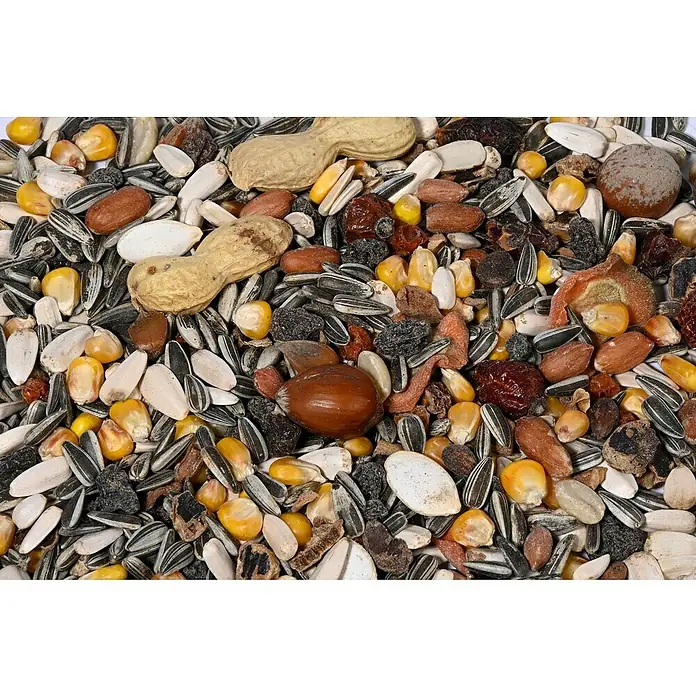 Dobar Eichhörnchenfutter -  - Nahaufnahme einer Mischung aus Vogelfutter, bestehend aus Sonnenblumenkernen, Mais, Erdnüssen und Trockenfrüchten für eine ausgewogene Ernährung.