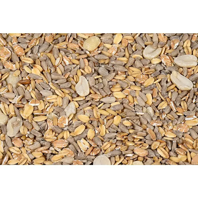 Dobar Wildvogelfutter ohne Schalenrückstände - 7 kg - Nahaufnahme von einer Mischung aus Sonnenblumenkernen, Haferflocken und Erdnüssen, ideal als Vogelfutter oder Müslizutat.