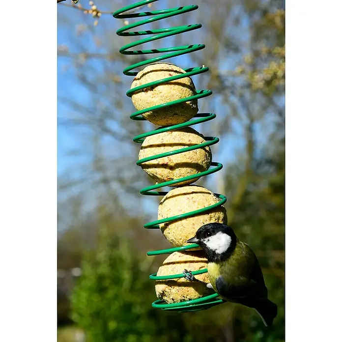 Dobar Meisenknödel - 9 kg, 100 Stk. - Ein grüner, spiralförmiger Futterspender mit Fettfutterbällchen und einer Kohlmeise, die daran pickt. Ideal für die Vogelfütterung im Garten.