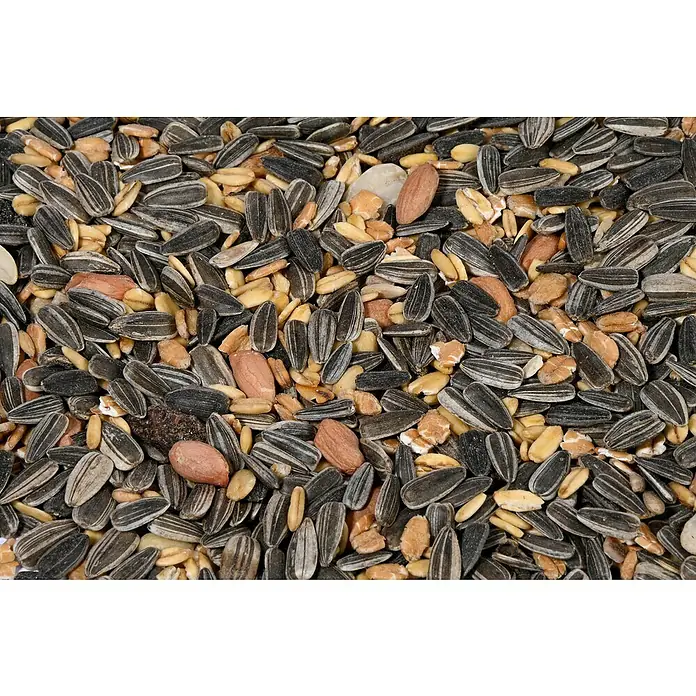Dobar Wildvogelfutter Futtermix - 7 kg - Nahaufnahme von Vogelfutter, bestehend aus Sonnenblumenkernen, Erdnüssen und Getreide, ideal zur Fütterung von Wildvögeln im Garten.