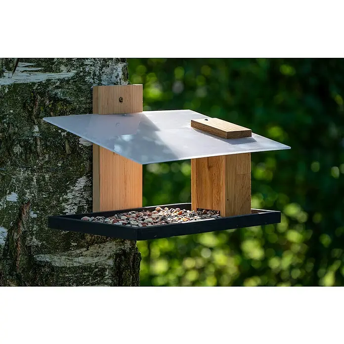 Dobar Vogelhaus Futura I - 32 x 26 x 23 cm, Holz, Weiß/ Schwarz/ Braun/ Natur - Nahaufnahme eines modernen Vogelhäuschens mit Samen, das an einem Baum befestigt ist. Das Häuschen hat ein transparentes Dach und eine schwarze Basis.